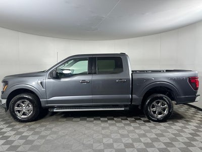 2025 Ford F-150 XLT
